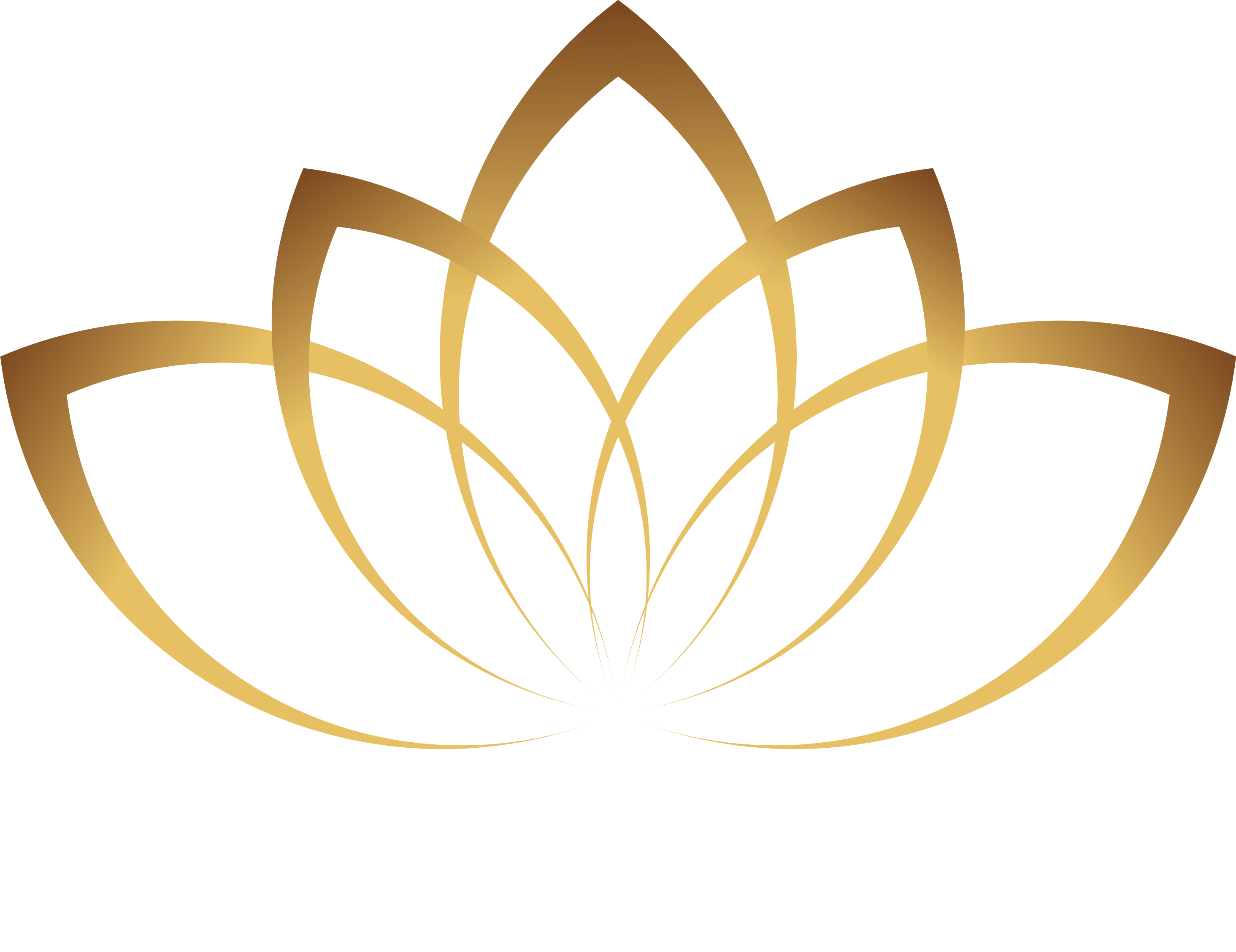 SL Motif